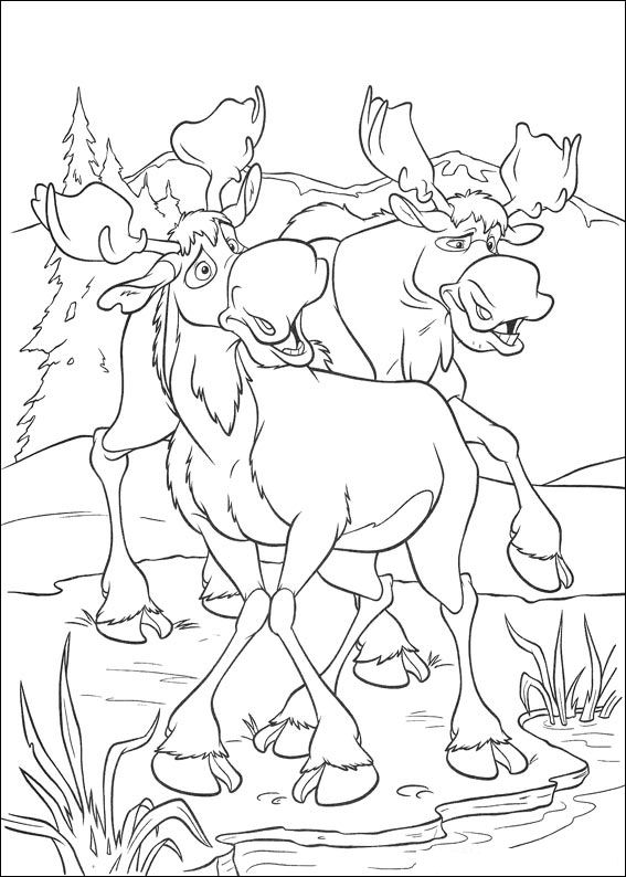 Kids-n-fun.de | Malvorlage Bärenbrüder 2 Bärenbrüder 2